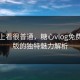 表面上看很普通，糖心vlog免费网页版的独特魅力解析