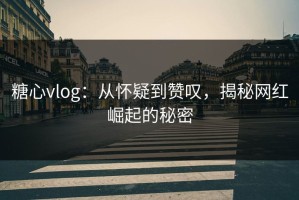 糖心vlog：从怀疑到赞叹，揭秘网红崛起的秘密