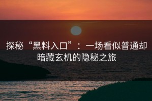 探秘“黑料入口”：一场看似普通却暗藏玄机的隐秘之旅