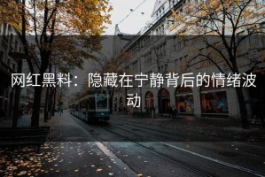 网红黑料：隐藏在宁静背后的情绪波动