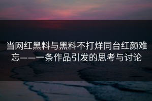 当网红黑料与黑料不打烊同台红颜难忘——一条作品引发的思考与讨论