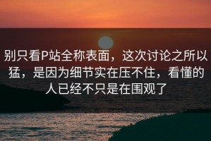 别只看P站全称表面，这次讨论之所以猛，是因为细节实在压不住，看懂的人已经不只是在围观了