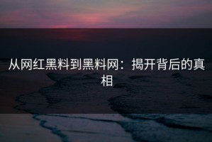 从网红黑料到黑料网：揭开背后的真相
