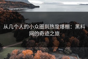 从几个人的小众圈到热度爆棚：黑料网的奇迹之旅