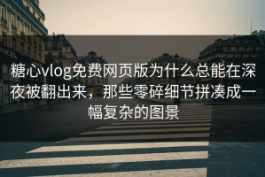 糖心vlog免费网页版为什么总能在深夜被翻出来，那些零碎细节拼凑成一幅复杂的图景