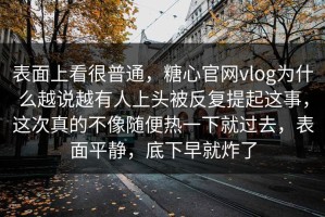 表面上看很普通，糖心官网vlog为什么越说越有人上头被反复提起这事，这次真的不像随便热一下就过去，表面平静，底下早就炸了