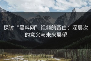探讨“黑料网”视频的留白：深层次的意义与未来展望