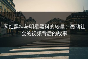 网红黑料与明星黑料的较量：轰动社会的视频背后的故事