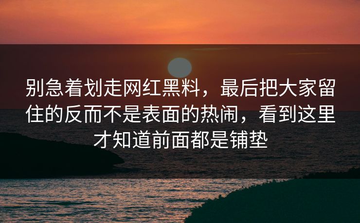 别急着划走网红黑料，最后把大家留住的反而不是表面的热闹，看到这里才知道前面都是铺垫
