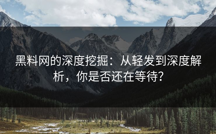 黑料网的深度挖掘：从轻发到深度解析，你是否还在等待？